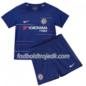 Chelsea Børn Hjemme 2018/19 - Fodboldtrøjer(S/S)